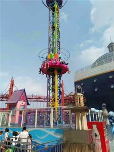 寧夏過山車、跳樓機(jī)案例