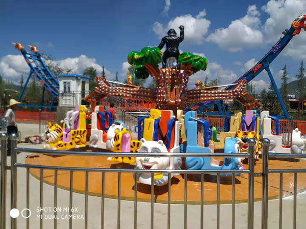 大型游樂(lè)設(shè)備